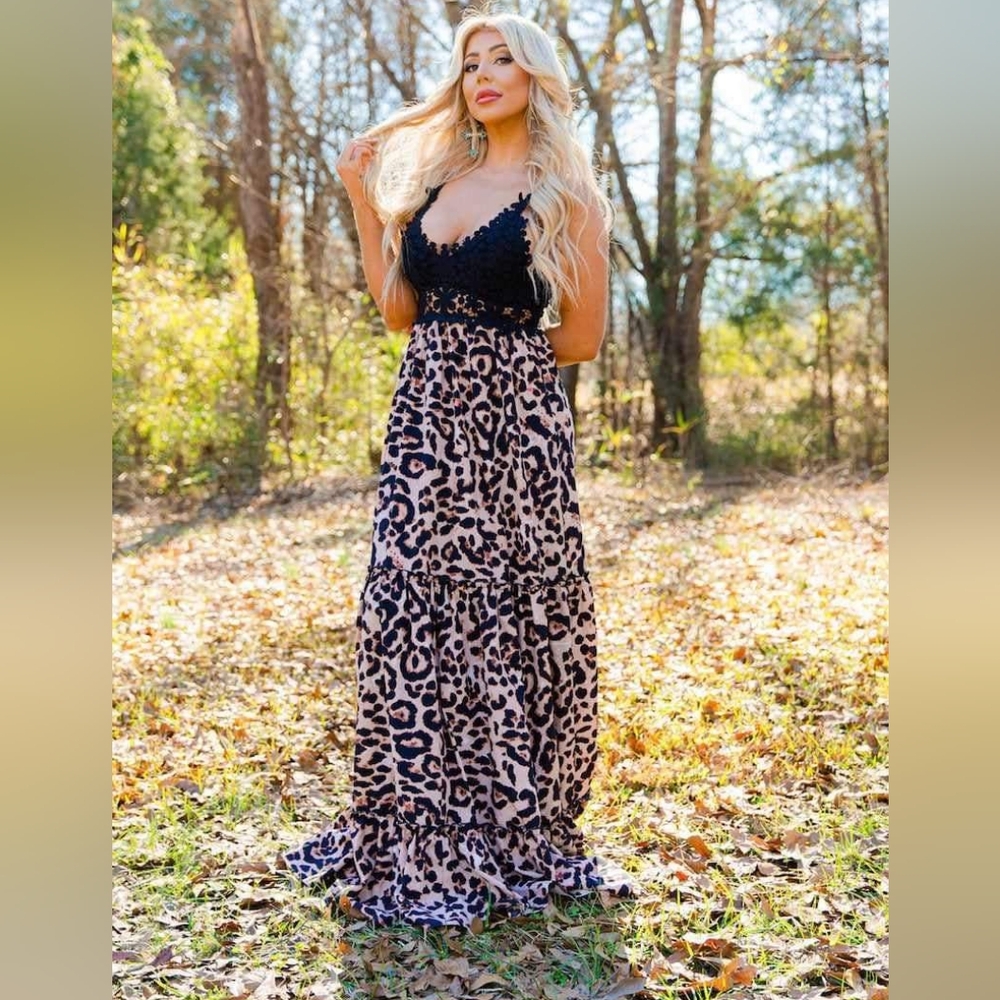 Southern fried chics southbound dress